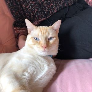 Meet your Posher, Beth